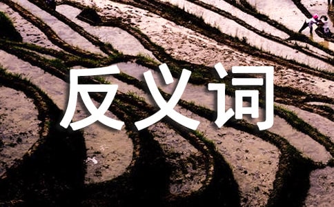 �_(k��i)�T(m��n)Ҋ(ji��n)ɽ�ķ��x�~��ʲô�~