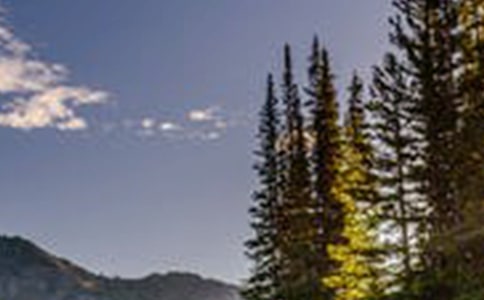 2021�꾫�x�L(f��ng)����(y��u)�����Ӽ���59��