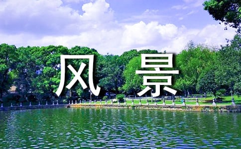 風(fēng)景這邊獨(dú)好生活隨筆