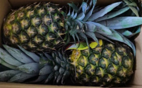 �P�滨���Bֳ������ע�����