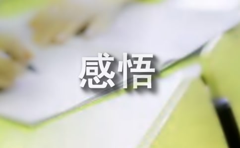 �����c���¡���������