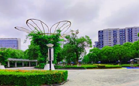 逛公園的教案(精選8篇)