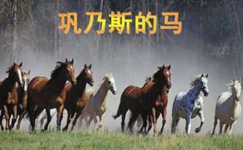 鞏乃斯的馬說課稿