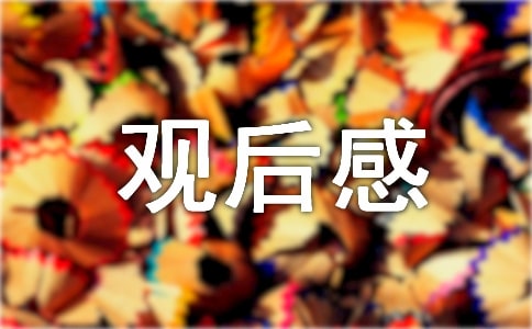 �_�v���^���(��(y��u))
