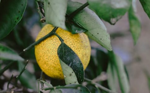 �׹��@���(hu��)��(sh��)�`�ĵ��w��(hu��)