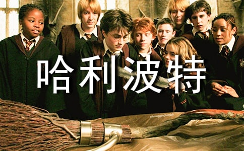 ���������n����x���