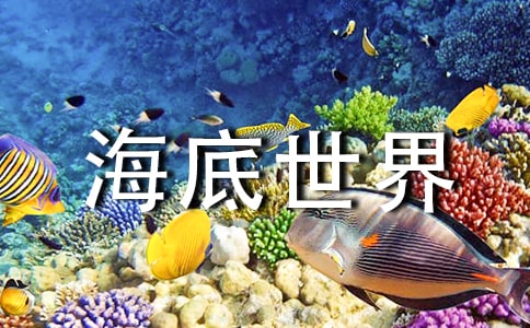 ���������硷�̰����ϰ�ƪ