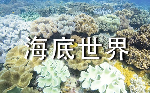 ���������硷�̰������\��