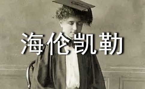 �x�����P���и�