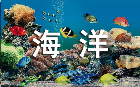 �����d���f���d�������d�����x���������и�