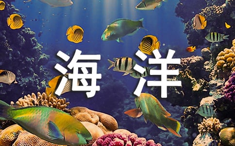 �{(l��n)ɫ�Č��졪��������x��