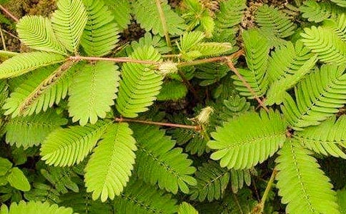 �^�캬�߲ݵ���ӛ��ͨ��8ƪ��