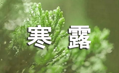 2023寒露溫暖文案340句