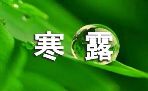 關(guān)于寒露的優(yōu)美句子(精選240句)