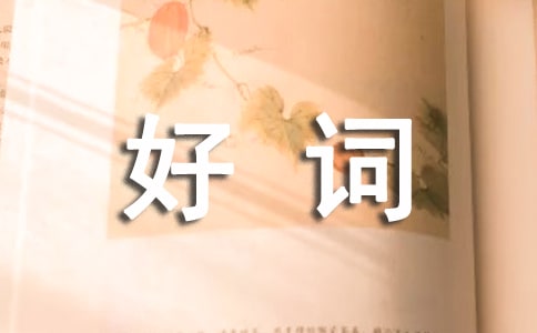好詞好句好段摘抄大全