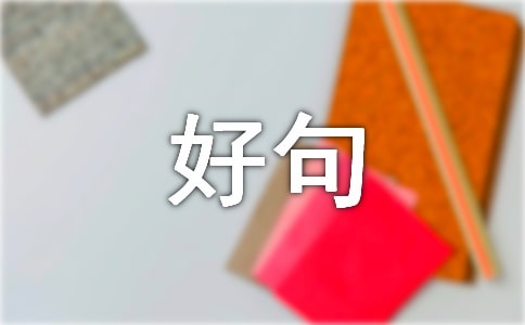 好句好段摘抄(精選900句)