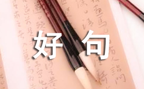 �����زĺþ�ö�ժ�����x270��