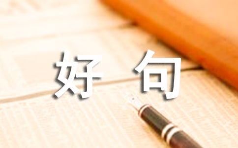 摘抄的好句300句