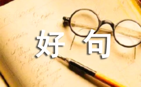 �þ�ö�ժ�������x290�䣩