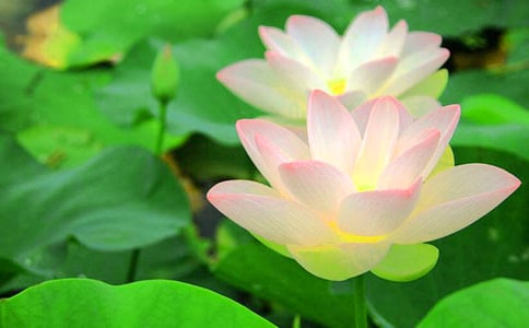 �茑(xi��)�ɻ���Ԋ(sh��)���ȫ