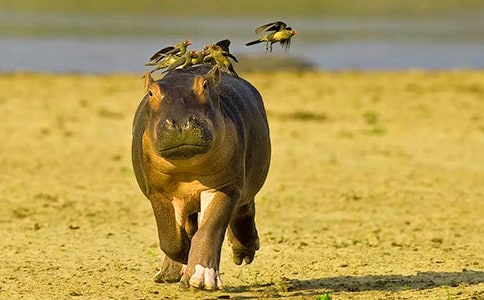 С���Z�ԡ����R��݆�����̰�����