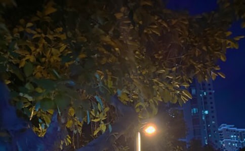 亢長(zhǎng)的黑夜裡,我再度落幕雜文隨筆