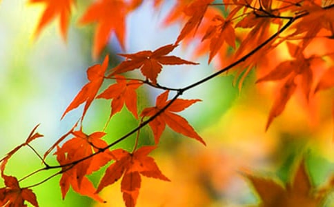 �t�~��x�}����