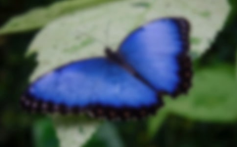 �а�����������̰���˼