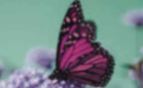 �����w���^�溣,���ҵ�������ı˰�Ԋ��