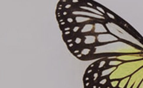 �����������̎�����Ɣࡷԭ�ļ����g