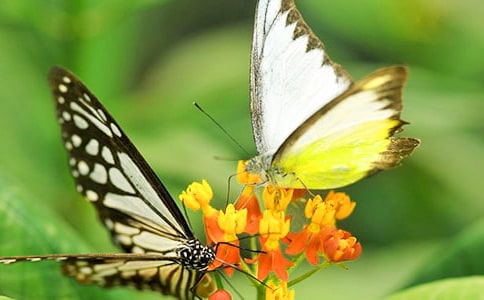 �����~������Ԋ��