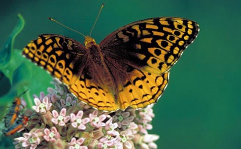 �а����}ëë�x׃�����̰�