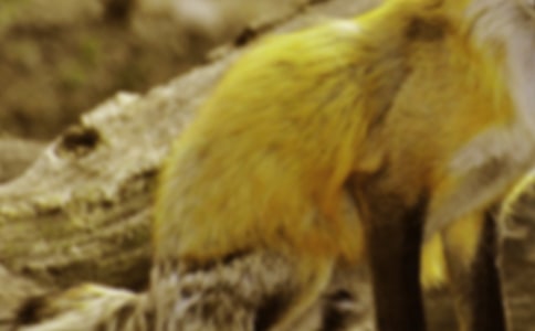 �����x����؂ͯԒ���ąR����ƪ