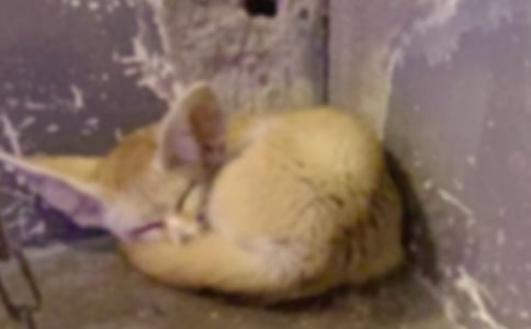 ���ٱ���؂�_һ�Ρ��x���15ƪ