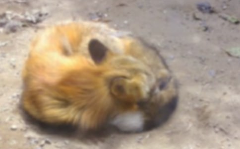 �茑��؂���~�Z3ƪ����(j��ng)�䡿