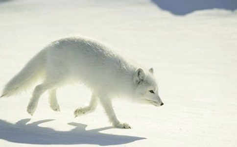 �˲���ĺ�؂�ְ�