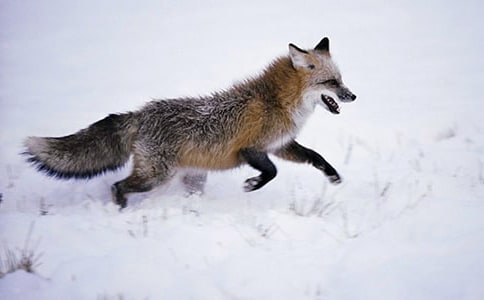 ��؂�Ĺ���