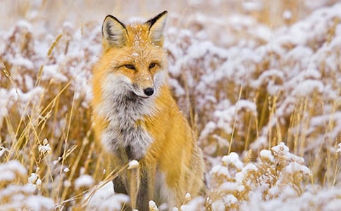 ���˲���ĺ�؂�ְ֡��x��еă�(y��u)�㷶��19ƪ