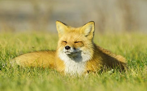 ����(sh��)�á���؂ͯԒ����600��3ƪ