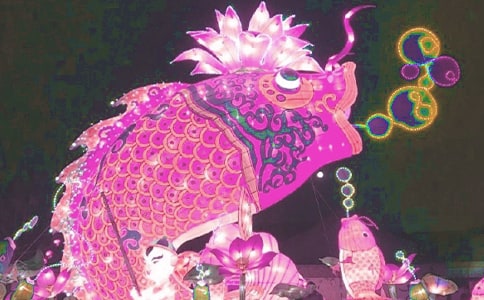 用花燈造句子