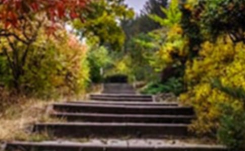 �҂������`���@ �����x����ͽ��ͯԒ���и�