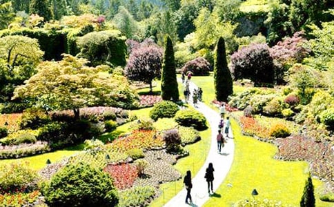 《神奇的花園》讀后感_750字
