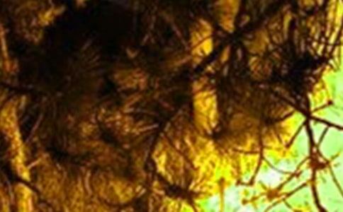 ���(z��i)�����Ծȷ�����B