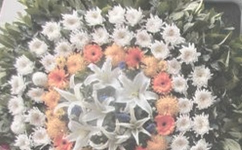 �������Z(y��)���q�¼������l(shu��)���������S��G�����l(shu��)���ۜI