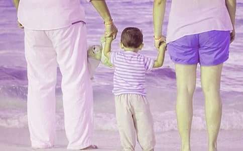 �׃��@��ͥ����ָ��(d��o)���(d��ng)����