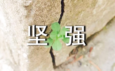 �P(gu��n)�ڈ�(ji��n)��(qi��ng)�Ľ�(j��ng)��������������