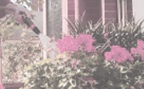 ������x��