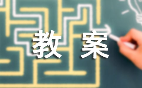 《有趣的影子》教案