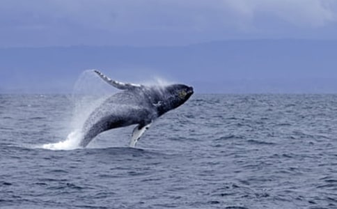 �L�~���������ă�(y��u)�x��12ƪ��