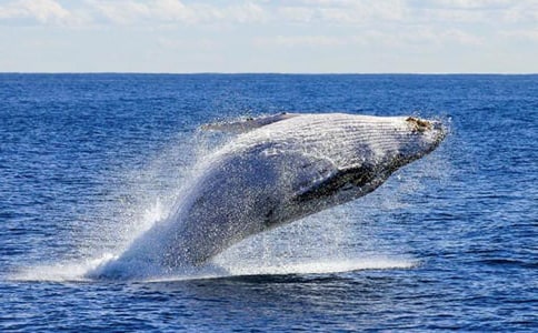 ��Ҋ�L�~��ˮ��ʲôԢ��